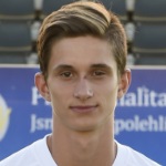 Dominik Plestil