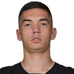 V. Litvinov
